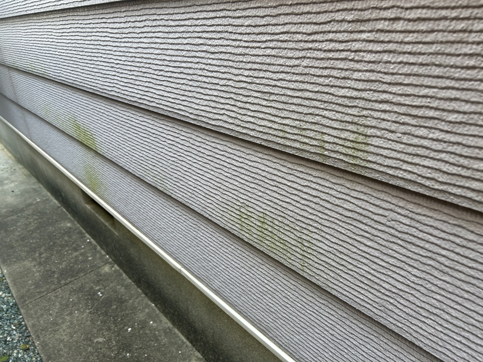 外壁の手の届く範囲に付いた表面の軽いカビ・コケの汚れ