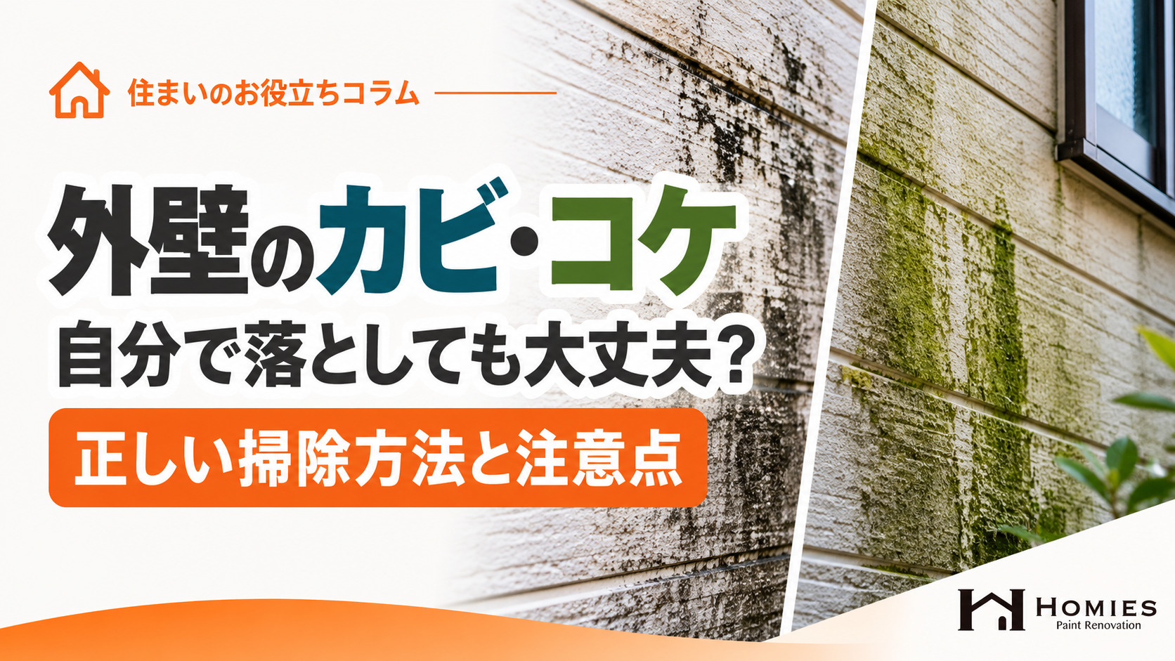 外壁のカビ・コケ自分で落としても大丈夫？